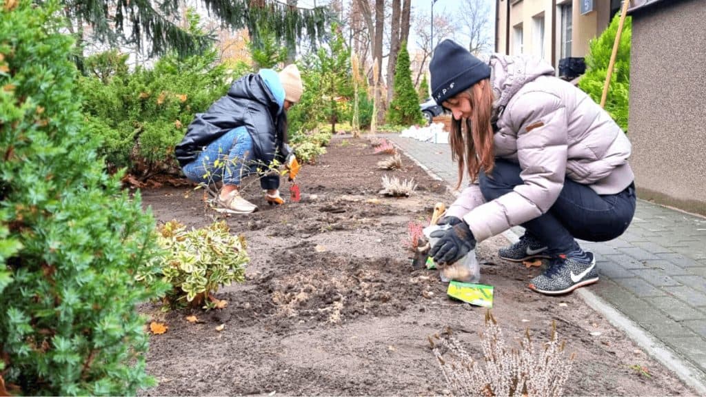 Dwie pracowniki Katalogu Marzeń sadzą kwiaty pod domem dziecka w ramach projektu Marzyciele Pomagają